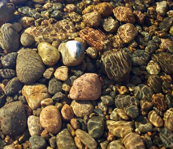 clear water and pebbles