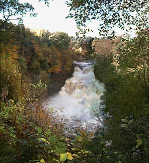The falls of Cora Linn