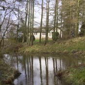 Pond near the cottage